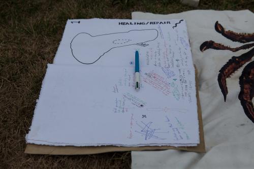 Photo by Vela Phelan